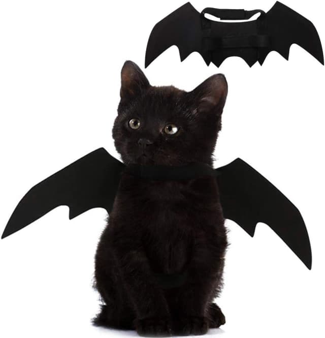 Pet Cat Bat Wings for Halloween Party Decoration