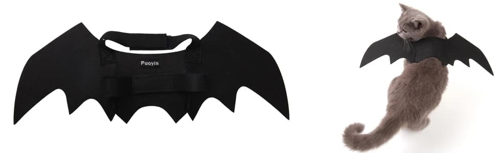 Pet Cat Bat Wings for Halloween Party Decoration — collection imagery