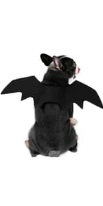 Pet Cat Bat Wings for Halloween Party Decoration — product details