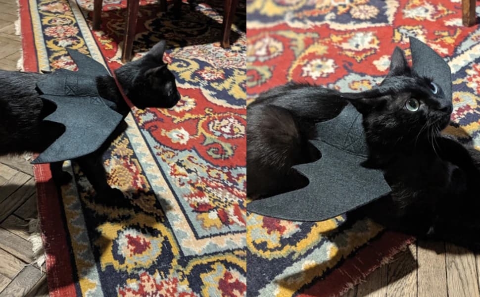 Pet Cat Bat Wings for Halloween Party Decoration — product details