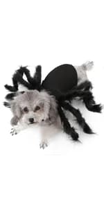 Pet Cat Bat Wings for Halloween Party Decoration — product details