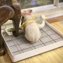 Rabbit Litter Box – Training Potty Tray for Guinea Pig and Small Pets · Spacious Grid Pan with Low Entrance