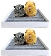 Rabbit Litter Box – Training Potty Tray for Guinea Pig and Small Pets · Spacious Grid Pan with Low Entrance — collection imagery