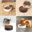 2 Pack Ceramic Bowls for Syrian Hamster and Hedgehog