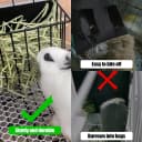 2PCS Rabbit Hay Feeder Guinea Pig Hay Feeder with Heavy-Duty Metal Frame Rabbit Hay Holder for Cage - Bunny Hay