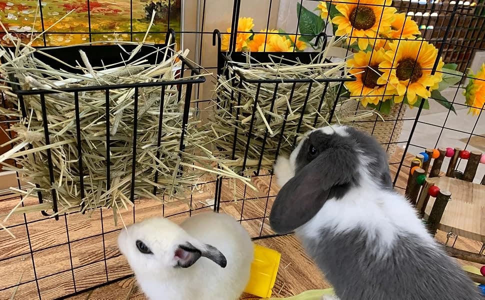 2PCS Rabbit Hay Feeder Guinea Pig Hay Feeder with Heavy-Duty Metal Frame Rabbit Hay Holder for Cage - Bunny Hay — Make eating easy and tidy
