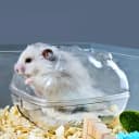 Hamster Sand Bath Container — Hamster Bathtub with Cleaning Scoop