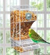 Parakeet Nesting Box — Cockatiel Bird Nest Box with Perch(S) — collection imagery