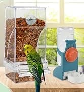 Parakeet Nesting Box — Cockatiel Bird Nest Box with Perch(S) — collection imagery