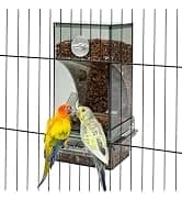 Parakeet Nesting Box — Cockatiel Bird Nest Box with Perch(S) — collection imagery