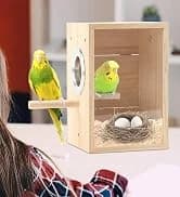 Parakeet Nesting Box — Cockatiel Bird Nest Box with Perch(S) — collection imagery