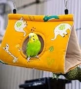 Parakeet Nesting Box — Cockatiel Bird Nest Box with Perch(S) — collection imagery