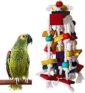 Parakeet Nesting Box — Cockatiel Bird Nest Box with Perch(S) — collection imagery