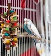 Parakeet Nesting Box — Cockatiel Bird Nest Box with Perch(S) — collection imagery