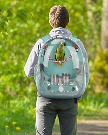 Parakeet Nesting Box — Cockatiel Bird Nest Box with Perch(S) — collection imagery
