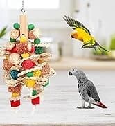 Parakeet Nesting Box — Cockatiel Bird Nest Box with Perch(S) — collection imagery