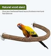 Parakeet Nesting Box — Cockatiel Bird Nest Box with Perch(S) — collection imagery