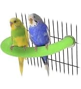 Parakeet Nesting Box — Cockatiel Bird Nest Box with Perch(S) — collection imagery