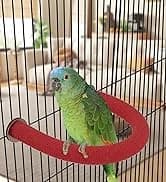 Parakeet Nesting Box — Cockatiel Bird Nest Box with Perch(S) — collection imagery