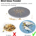 2Pcs Bird Foraging Toys — Slow Feeder Mats for Health