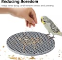 2Pcs Bird Foraging Toys — Slow Feeder Mats for Health