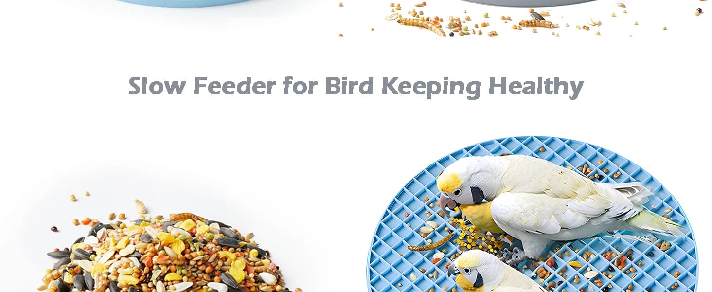2Pcs Bird Foraging Toys — Slow Feeder Mats for Health — product details