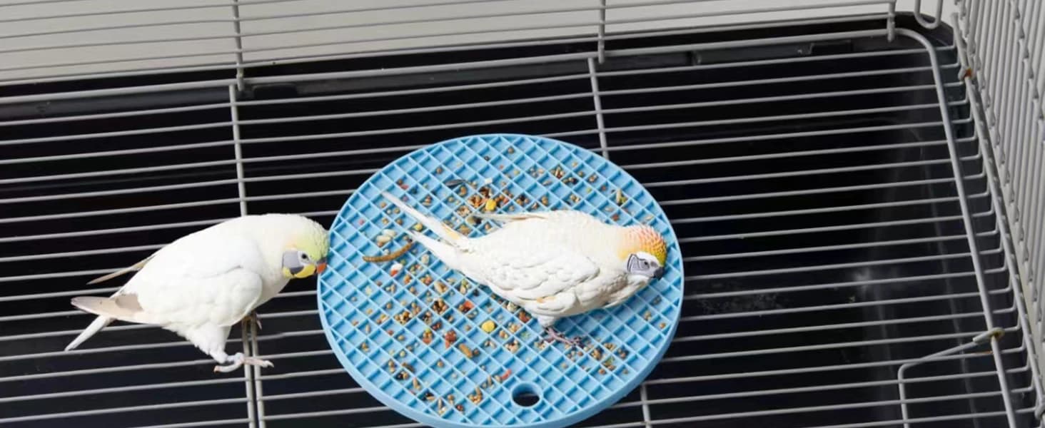 2Pcs Bird Foraging Toys — Slow Feeder Mats for Health — product details