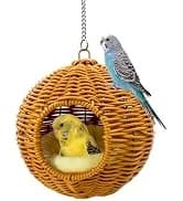 2Pcs Bird Foraging Toys — Slow Feeder Mats for Health — collection imagery