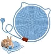 2Pcs Bird Foraging Toys — Slow Feeder Mats for Health — collection imagery