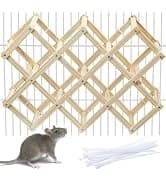 2Pcs Bird Foraging Toys — Slow Feeder Mats for Health — collection imagery