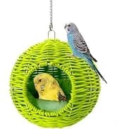 2Pcs Bird Foraging Toys — Slow Feeder Mats for Health — collection imagery
