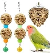 2Pcs Bird Foraging Toys — Slow Feeder Mats for Health — collection imagery