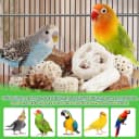 Bird Toys Parrot Toys Natural Bird Foraging Box Foot for Parakeets
