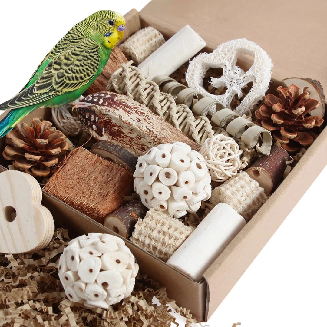 Bird Toys Parrot Toys Natural Bird Foraging Box Foot for Parakeets
