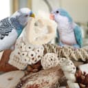 Bird Toys Parrot Toys Natural Bird Foraging Box Foot for Parakeets