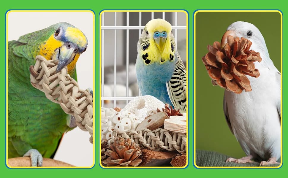 Bird Toys Parrot Toys Natural Bird Foraging Box Foot for Parakeets — product details