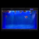 Aquarium Background Blue Black Fish Tank Background Picture 2 Sides Fish Backdrop for Aquarium Wallpaper 24" x 71"