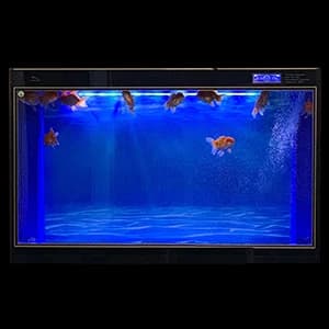 Aquarium Background Blue Black Fish Tank Background Picture 2 Sides Fish Backdrop for Aquarium Wallpaper 24" x 71" — product details