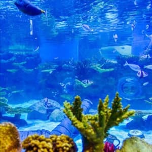 Aquarium Background Blue Black Fish Tank Background Picture 2 Sides Fish Backdrop for Aquarium Wallpaper 24" x 71" — product details