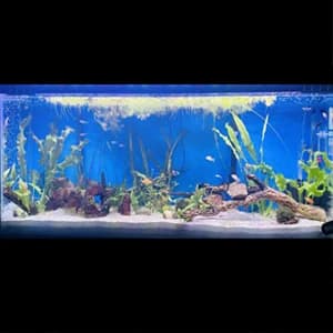 Aquarium Background Blue Black Fish Tank Background Picture 2 Sides Fish Backdrop for Aquarium Wallpaper 24" x 71" — collection imagery