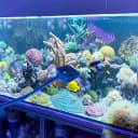 3 PCS Double-Sided Aquarium Fish Tank Algae Cleaning Brush with Non-Slip Handle