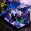 3 PCS Double-Sided Aquarium Fish Tank Algae Cleaning Brush with Non-Slip Handle
