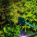 3 PCS Double-Sided Aquarium Fish Tank Algae Cleaning Brush with Non-Slip Handle