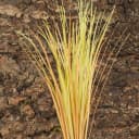 Fake Desert Dry Grass Reptile Plants — Bearded Dragon Terrarium Décor