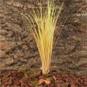 Fake Desert Dry Grass Reptile Plants — Bearded Dragon Terrarium Décor