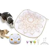 Cat Laser Toy — 2-in-1 Interactive Automatic Motion Activated Moving 8 Holes Whack A Mole Feather — collection imagery