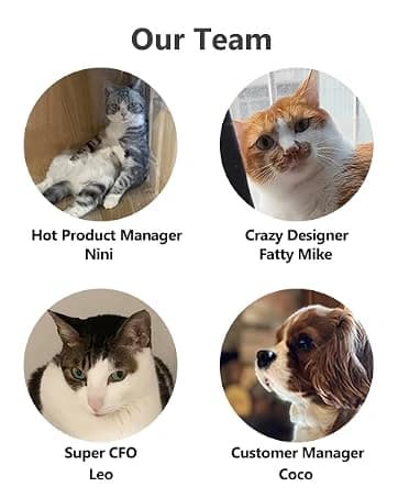 Cat Laser Toy — 2-in-1 Interactive Automatic Motion Activated Moving 8 Holes Whack A Mole Feather — collection imagery