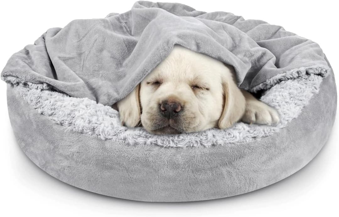 Small Dog Bed Cat Bed with Hooded Blanket