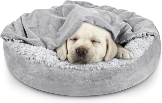 Small Dog Bed Cat Bed with Hooded Blanket