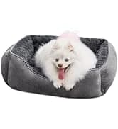 Small Dog Bed Cat Bed with Hooded Blanket — collection imagery